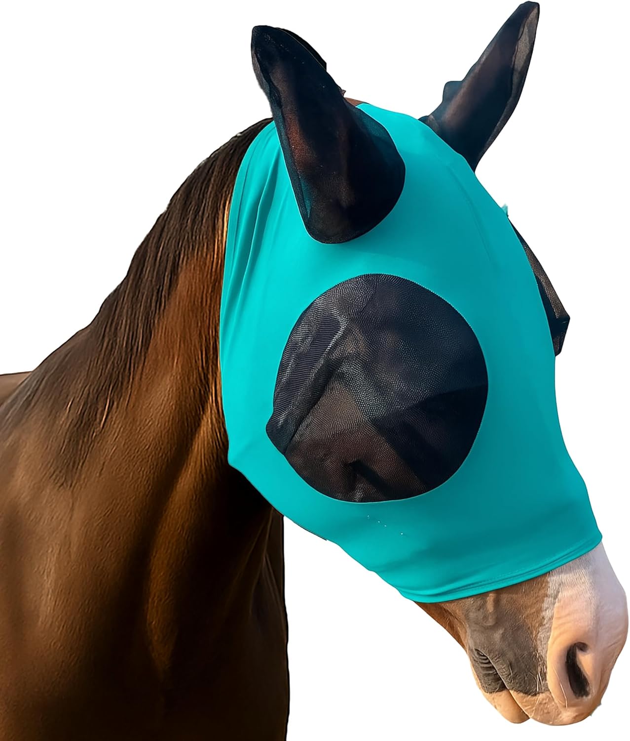 Horse Fly Mask - Durable Equine Fly Mask with Full Coverage for Eye & Ear - Stretchable, UV & Sun Protection Flymask for Horses, Ponies & Mini Horses - Horse Face Cover for Pasture & Trail - Teal
