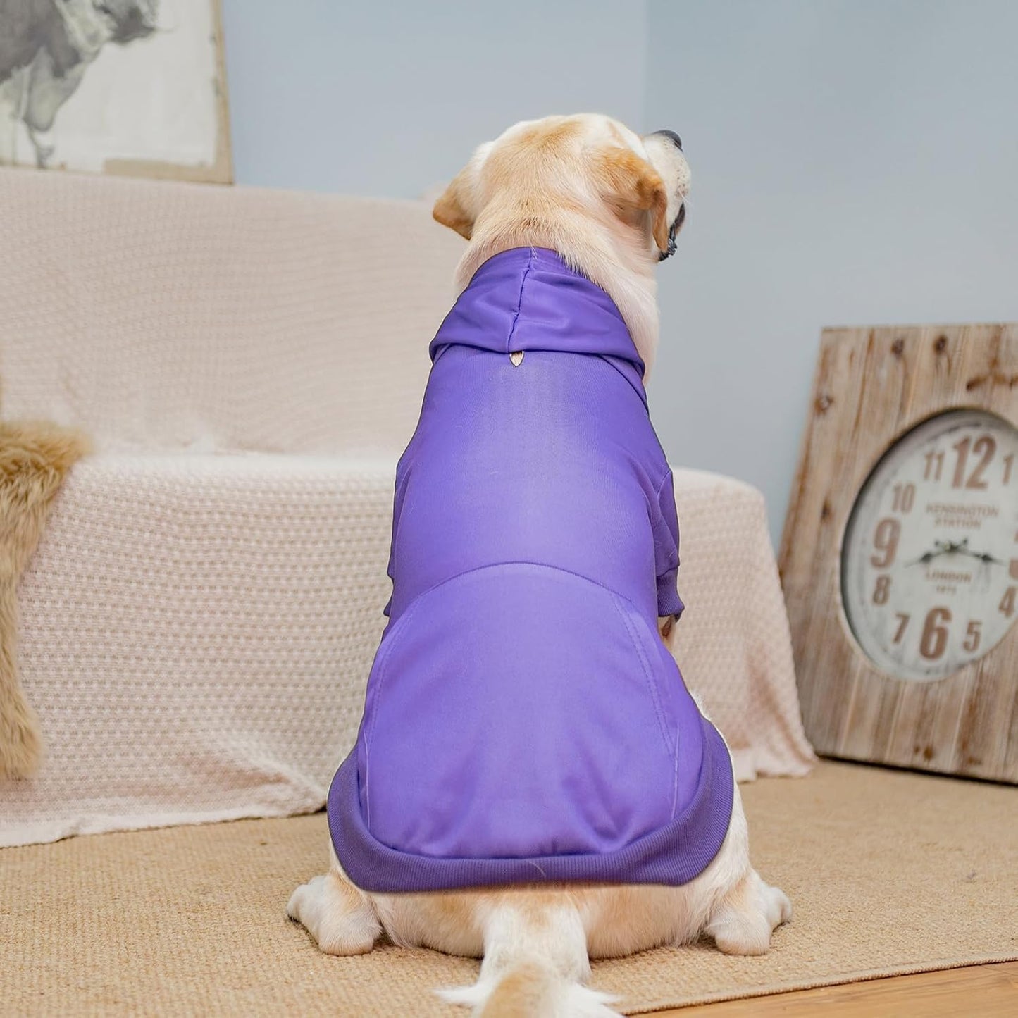 KOOLTAIL Basic Dog Hoodie - Soft & Warm Dog Hoodie Sweater with Leash Hole and Pocket, Dog Winter Coat, Cold Weather Clothes Sweatshirt for Small Medium Large Dogs Puppy Cat Boys Girls Purple L