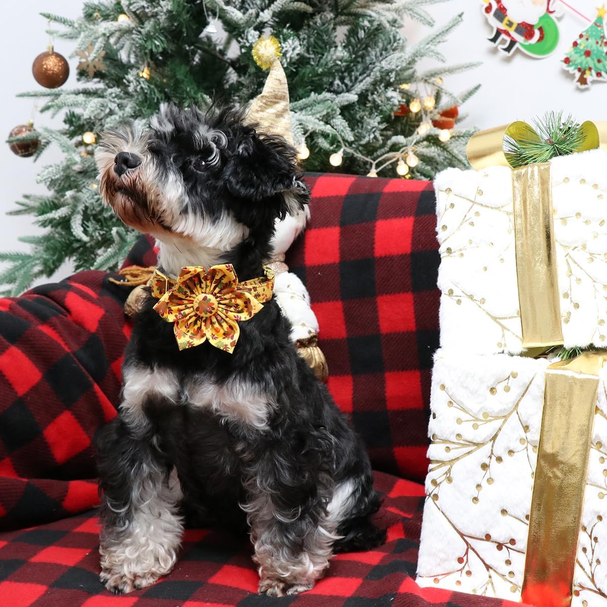 Lionet Paws Thanksgiving Day Dog Collar with Flower, Dogs Flower Collar with Metal Buckle for Dogs, Adjustable Comfortable Dog Collars Girl, XS, Neck 8-12 in