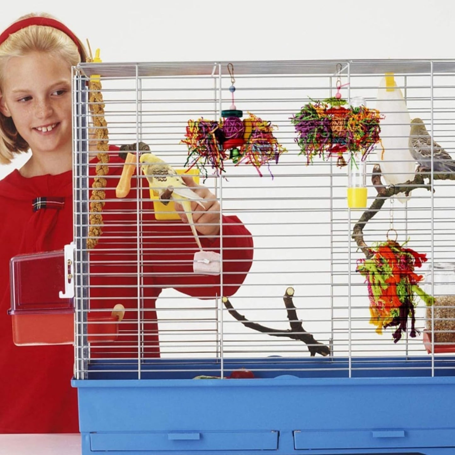 Lyellfe 7 Pieces Bird Chewing Toys, Bird Toys for Parakeets, Colorful Wood Parrot Foraging Shredder Toy Swing Hanging for Cockatiels, Budgerigar, Conures, Finches