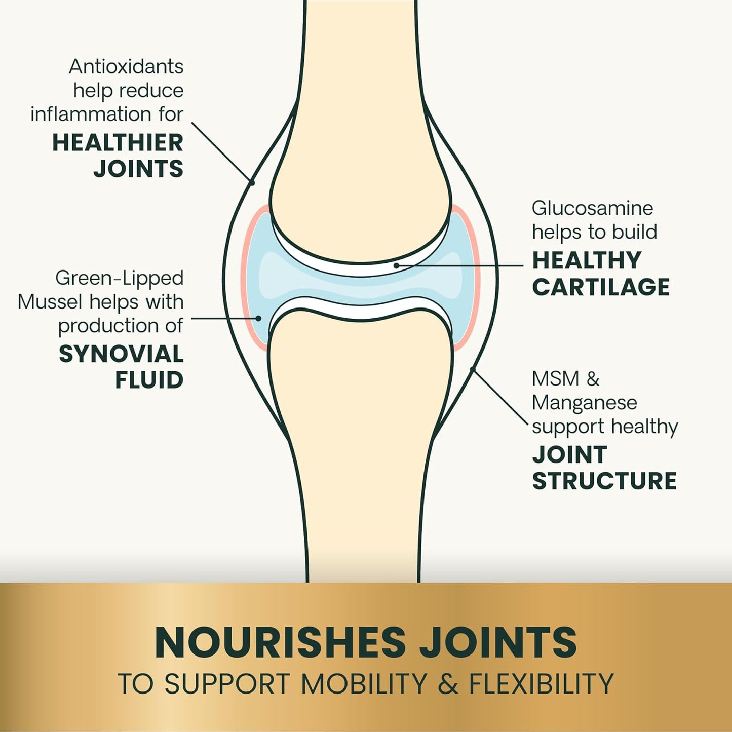 VetriScience Glycoflex 3 Clinically Proven Hip and Joint Supplement for Dogs - Maximum Strength Dog Supplement with Glucosamine, MSM, Green Lipped Mussel & DMG - 120 Chewable Tablets, Chicken Flavor
