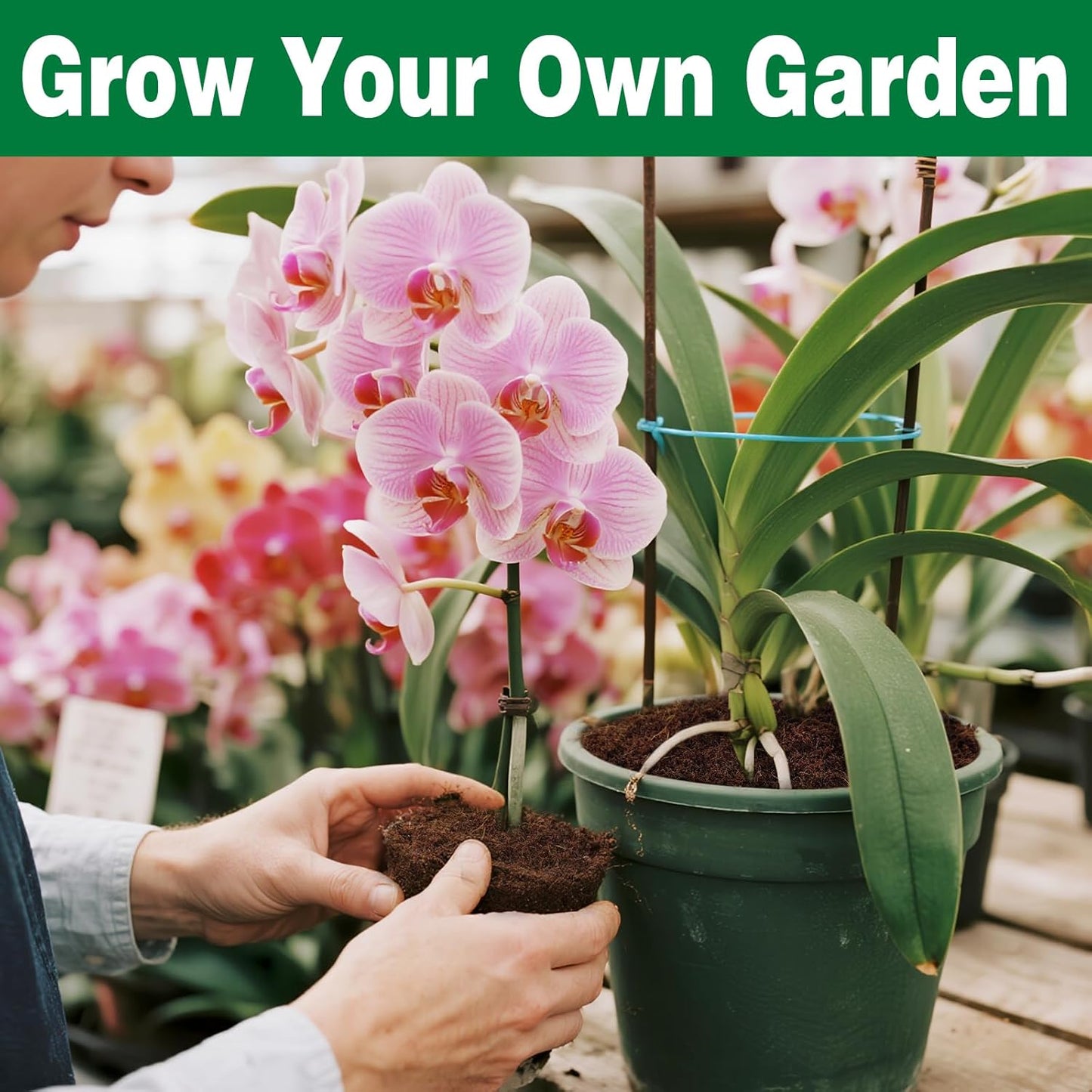 ZeeDix 8 Pack Coco Coir Brick (11.2lbs), 100% Organic Coconut Coir for Garden Soil & Potting Mix, Low EC and pH Balance, Compressed Coconut Husk Fiber for Seed Starter Soil for Indoor Outdoor Plants