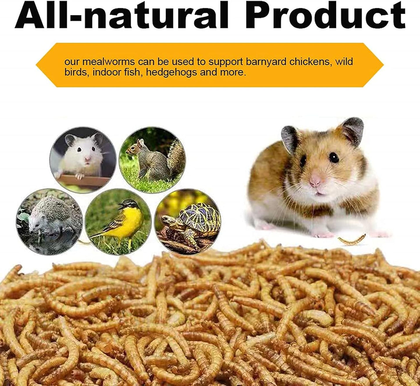 Mealworms, High-Protein Dried Mealworms for Birds, Chickens, Turtles, Fish, Hamsters and Hedgehogs, Non-GMO and Chemical Free, All Natural Animal Feed (10oz)
