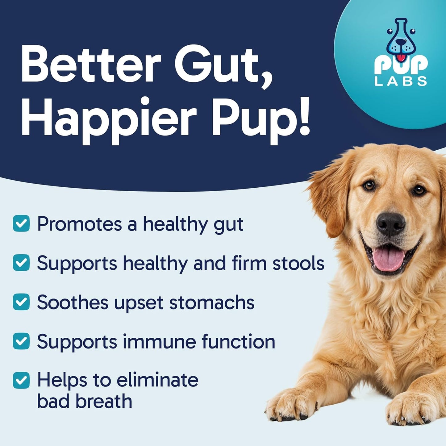 Tummy Essentials Probiotic Chews for Dogs, Supports Gut Health for Dogs and Firm Stools, Helps Eliminate Digestive Dysfunction, Dog Probiotics Made in The USA, 30 Chews