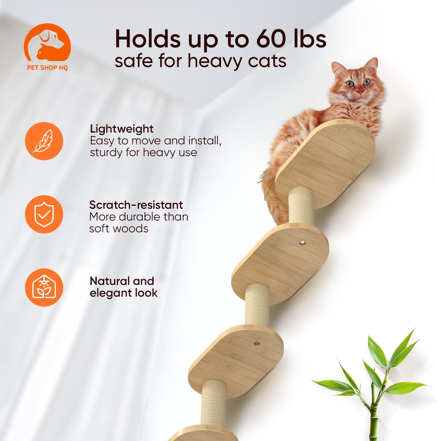 Wall-Mounted Cat Furniture for Climbing - Indoor Wooden Floating Shelves, Perches, Hammock, Bed, Bridges, Walkways - Different Models