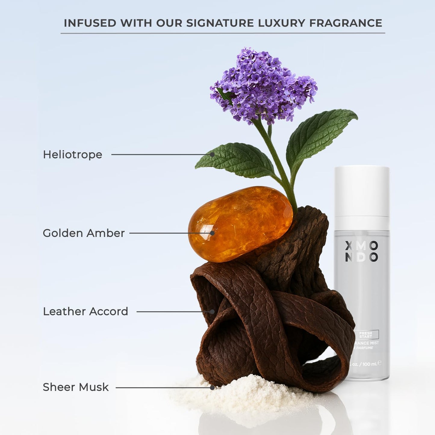 XMONDO Hair BOOST X Dry Shampoo, Zero Residue, Formulated with Saw Palmetto to Promote Scalp Care, Clinically Tested, Dermatologist Tested, Talc-free, Benzene-free, Free of aluminum starch, 5 oz