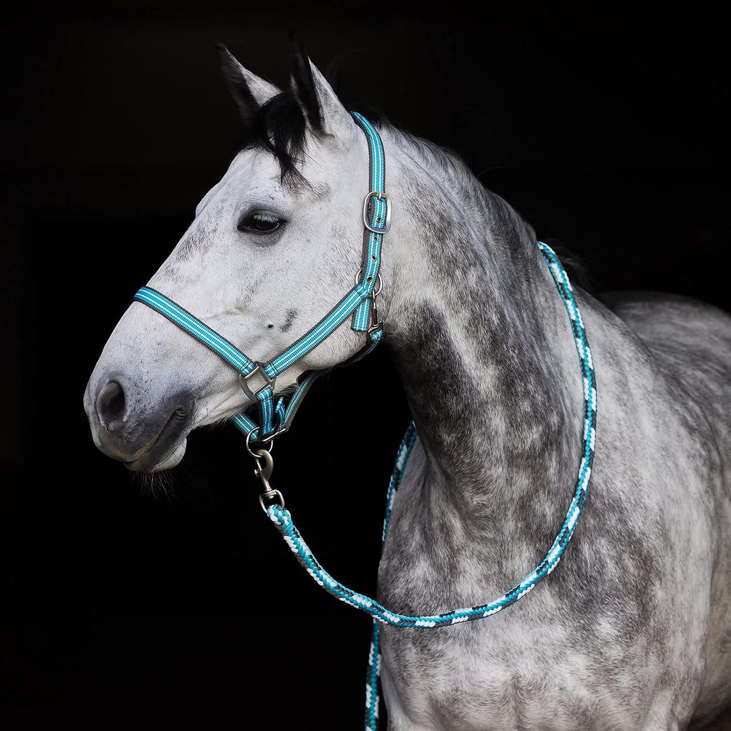 HORZE Adepto Adjustable Horse Halter | Soft, Durable Polyester - Canal Blue - Warmblood