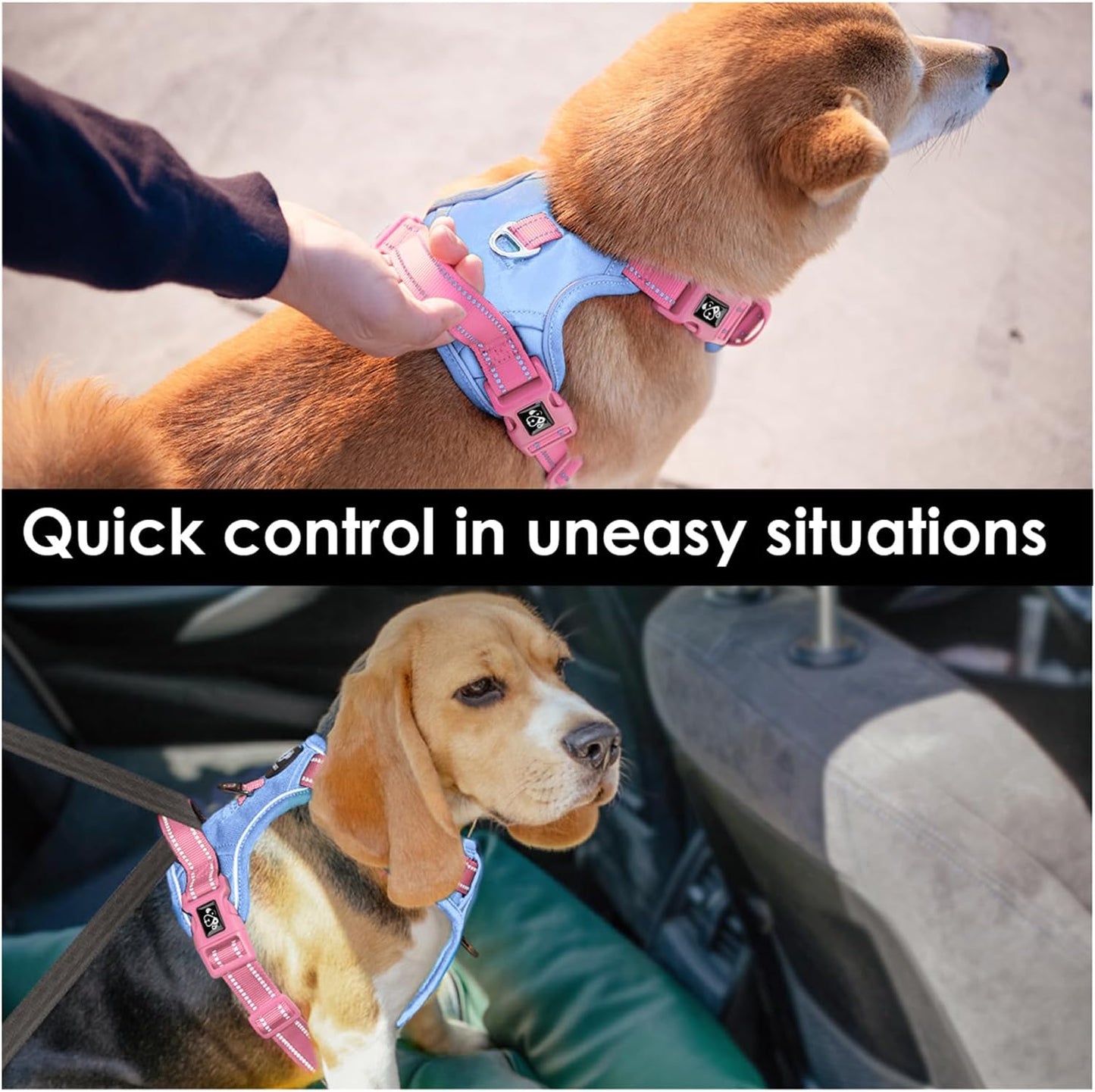 PHOEPET No Pull Dog Harness, Unique Colors Reflective Adjustable Dog Vest, with Soft Training Handle Metal Clips for Small Medium Large Dogs (Baby Blue Base & Pink Straps,XL)