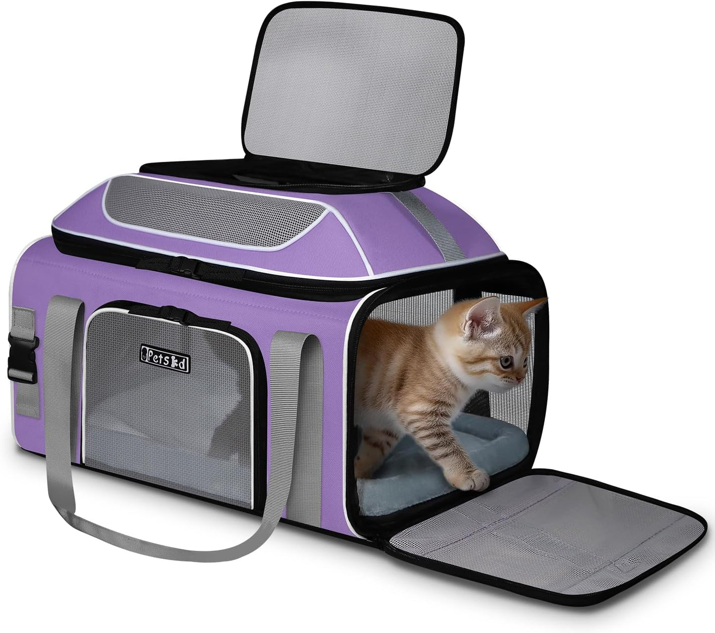 Petskd Top-Expandable Pet Carrier 19x13x9 Inches Southwest Allegiant Airlines Approved, Soft-Sided Carrier for Small Dog Under 12 lbs and Large Cat Under 15 lbs(Purple)