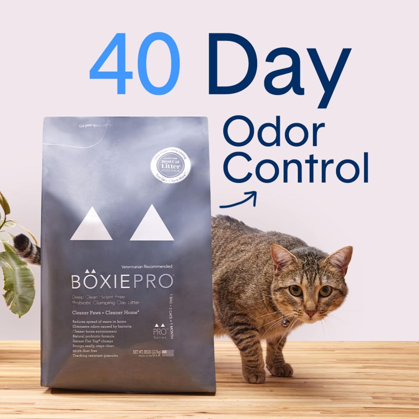 Boxie® Probiotic 40 Day Natural Odor Control Cat Litter, 16lb Clumping Clay Kitty Litter (Pack of 2)
