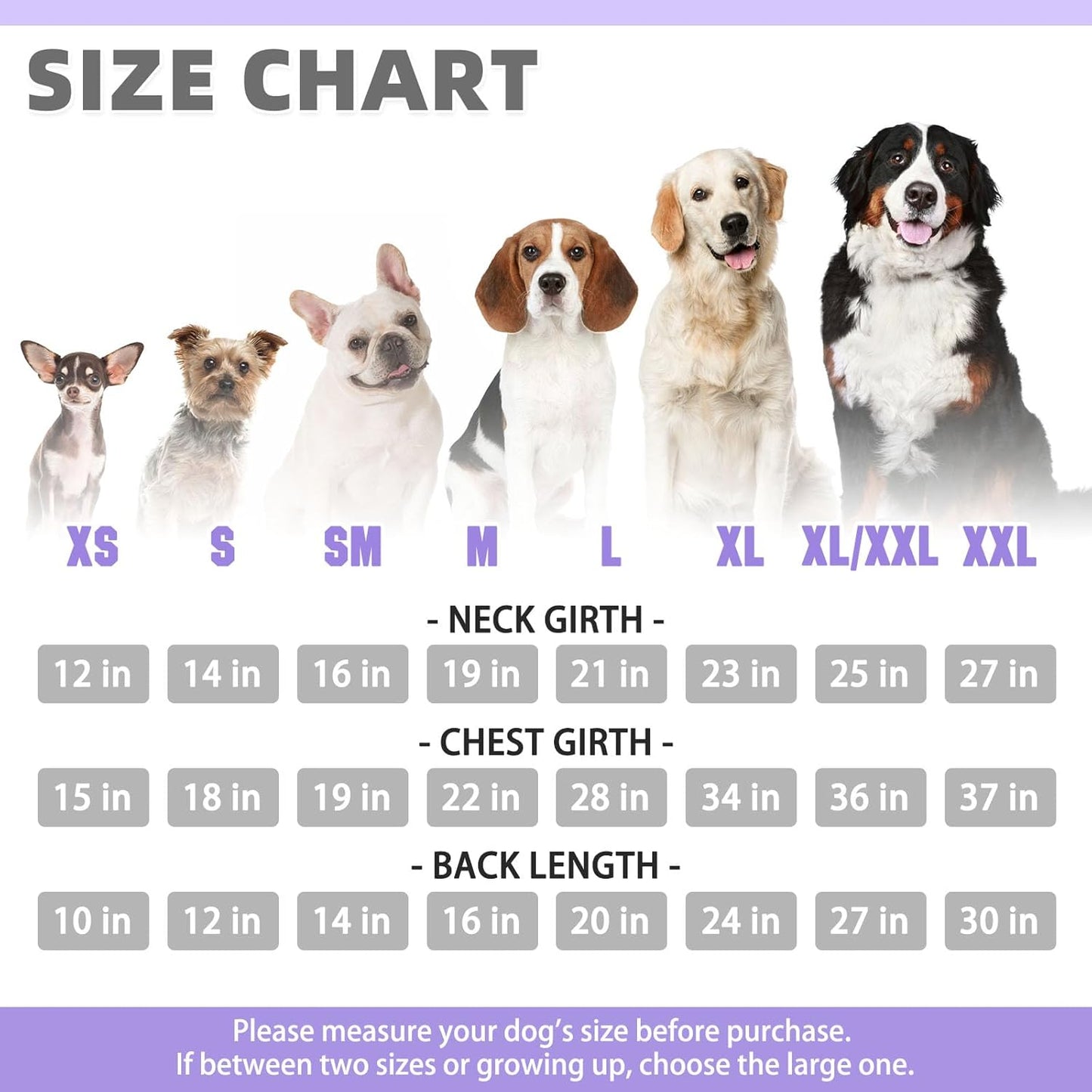 KOOLTAIL Basic Dog Hoodie - Soft & Warm Dog Hoodie Sweater with Leash Hole and Pocket, Pet Winter Coat, Cold Weather Clothes Sweatshirt for Small Medium Large Dogs Puppy Cat Boys Girls Lavender SM