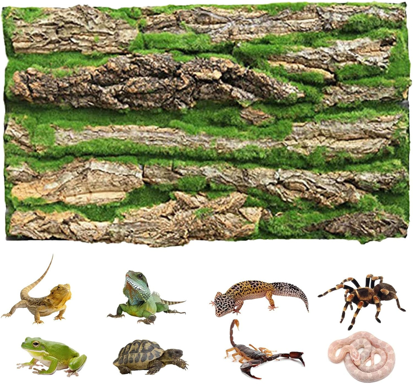 PINVNBY Reptile Cork Terrarium Background,Bearded Dragon Tank Natural Bark Backdrop Wall Habitat Decor with Artificial Moss,15.75"×11.8" Reptile Carpet for Gecko Lizard Tortoise Frog Chameleon(1 Pack)