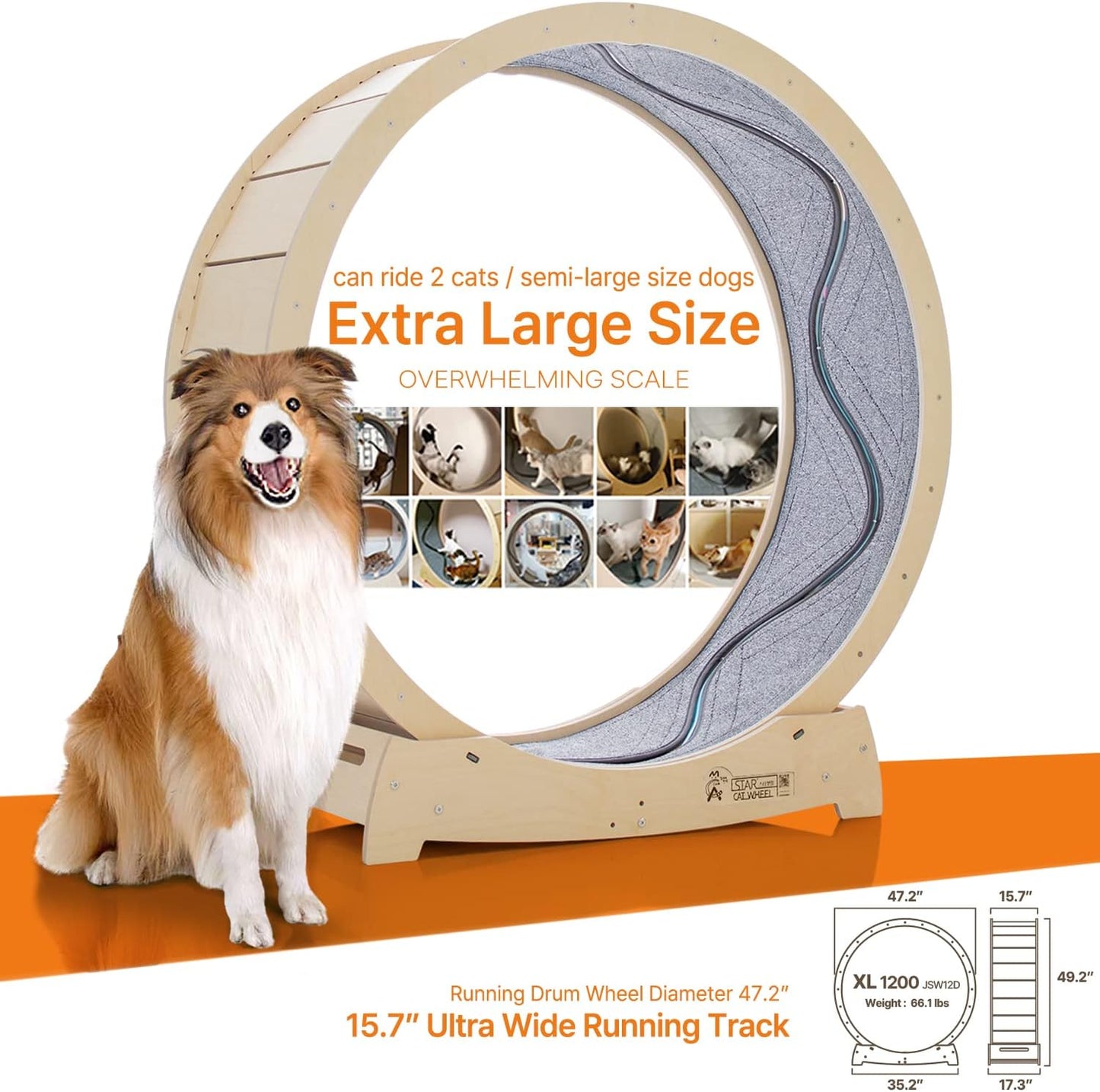 Star Cat Wheel, Cat Treadmill, Exercise Wheel for Running, Spinning, Scratching, and Climbing for Indoor Cats, Premium Birch Wood, Eco-Friendly, Moving Fish, Wide Running Track, 47.2 inch XL Size