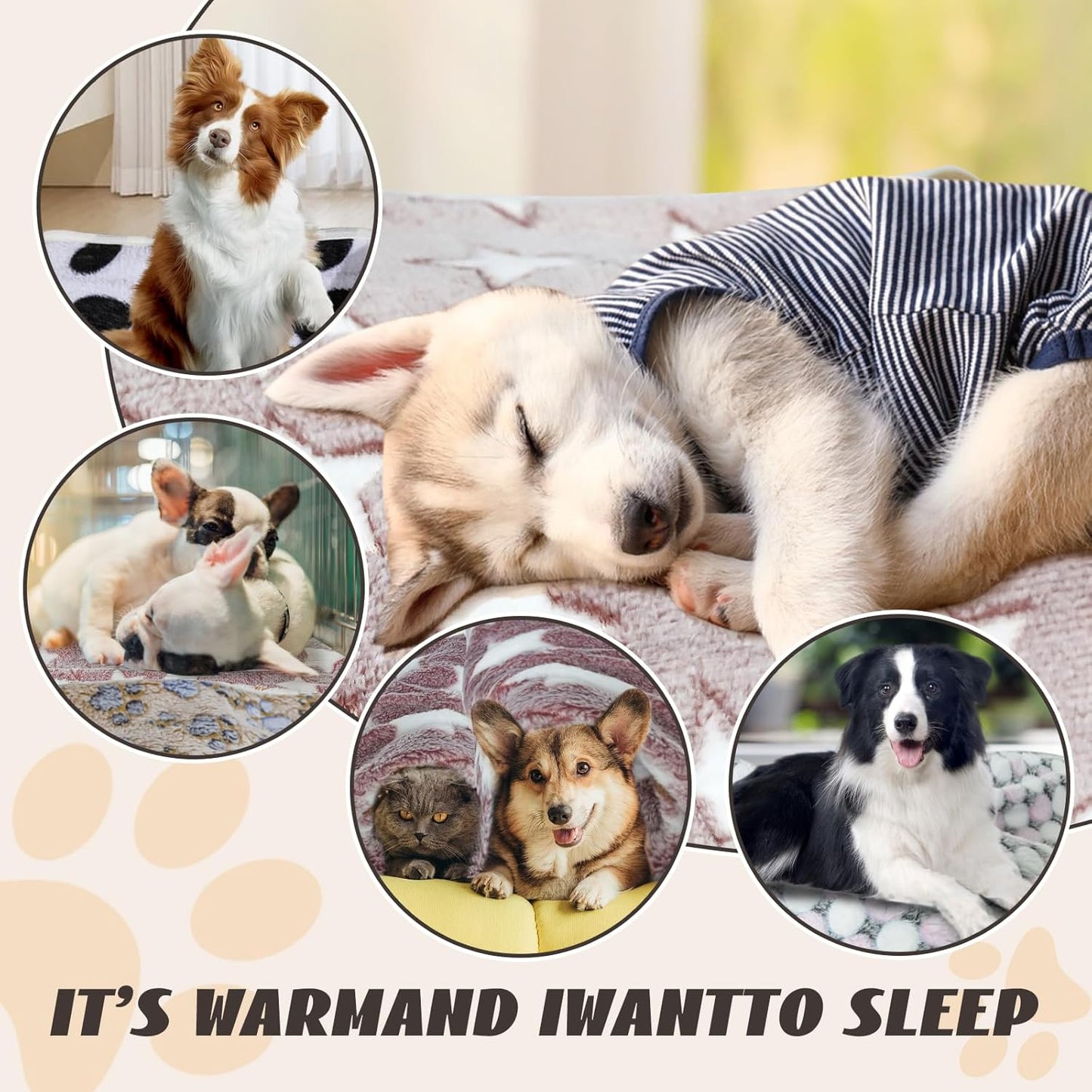 6 Pcs Washable Guinea Pig Blankets Absorbent Small Animal Fleece Bedding Cage Liners Reusable Pet Pee Pad Sleep Mat Pad Cover for Hamster Ferret Rabbit Chinchilla Hedgehog (Black, 24" x 47")