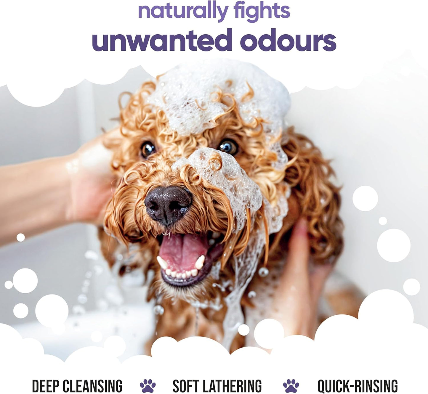 Calming & Deodorising Dog Shampoo by Buddycare | Lavender Scented | with Aloe Vera and Pro Vitamin B5 (50.72oz)