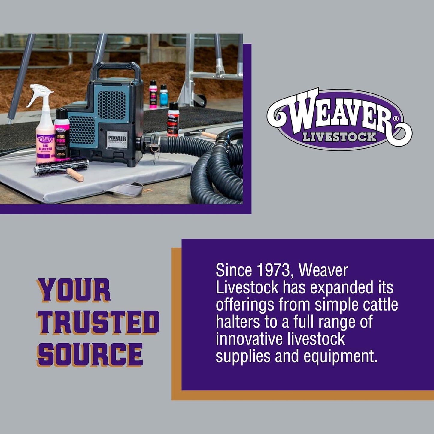 Weaver Livestock Poly Rope Sheep Halter, Modern Style Braid Sheep and Goat Rope Halter, Adjustable Lamb Halter Lead, Livestock Sheep Showing Supplies