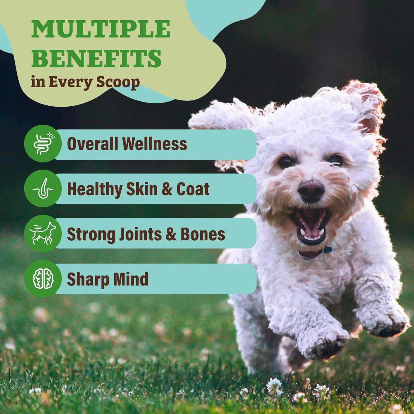 Natural Dog Company Dog Super Greens Food Topper, Dog Multivitamin Powder Vitamins & Supplements, Boost Immunity & Digestion, Wellness Nutrient-Rich Food Seasoning Meal Topper, 8 oz