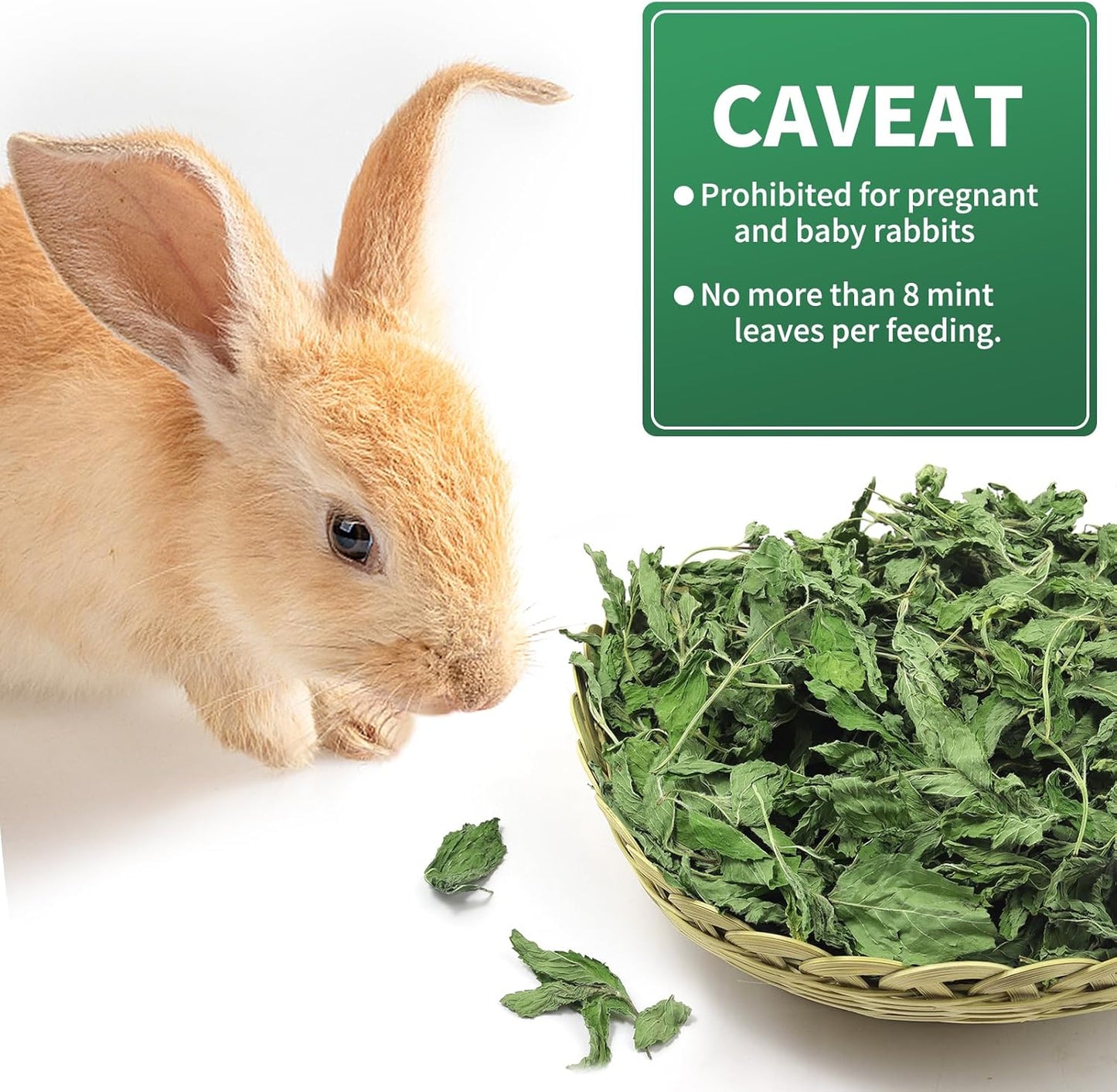 Nature Treats for Small Animals Dried Mint Leave 12 OZ - Dust Free Natural Green Fresh for Pets Rabbits, Rich in nutrients Alleviate Digestive Improve The Oral Health of Pets
