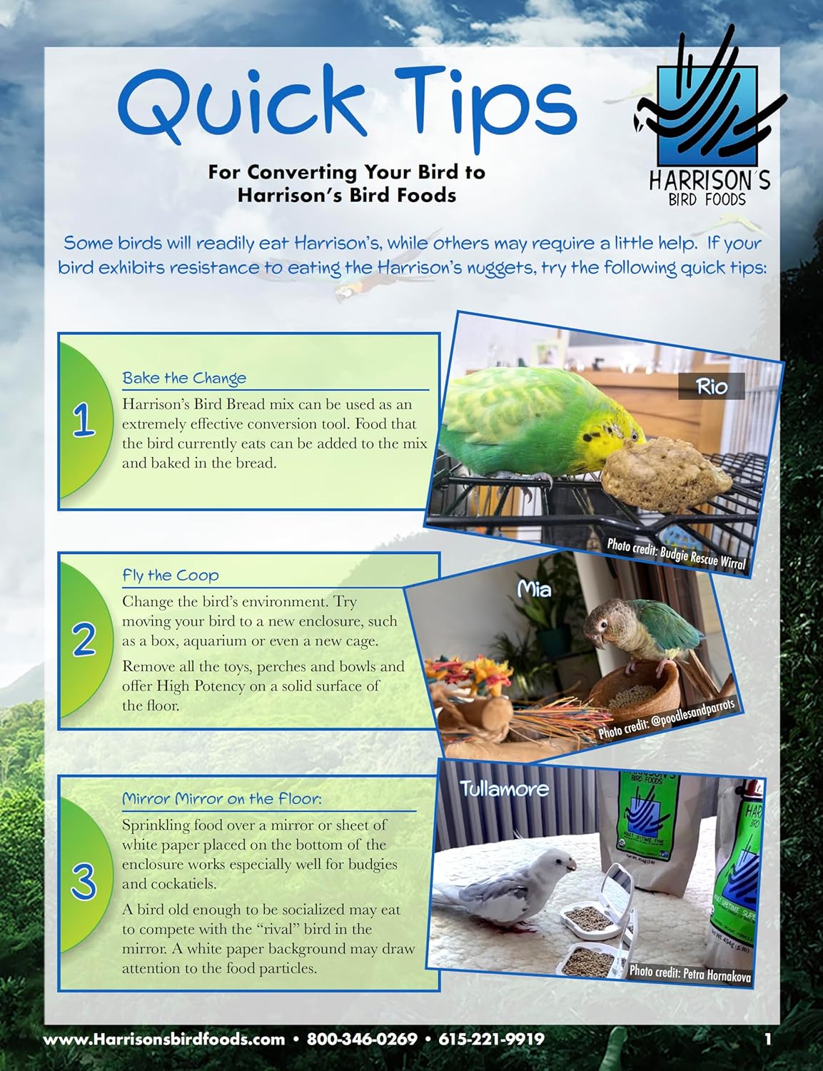 Harrison's Bird Foods High Potency Maximum Nutritional Formula for Small to Medium Birds, Certified Organic Non-GMO Pet Bird Food, Vet-Developed, Suitable for All Life Stages, 454 g/ 1 lb