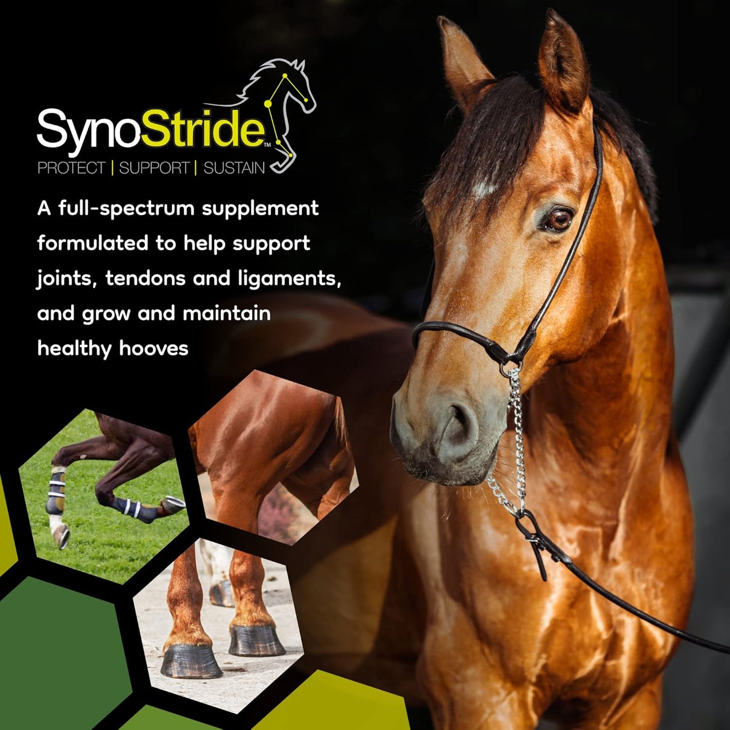 SynoStride All Natural, All-in-one, Joint and Hoof Health Supplement for Horses, Powder with Glucosamine, Chondroitin, Hyaluronic Acid, Biotin, Methionine, Trace Minerals, Made in USA (1080 Grams)
