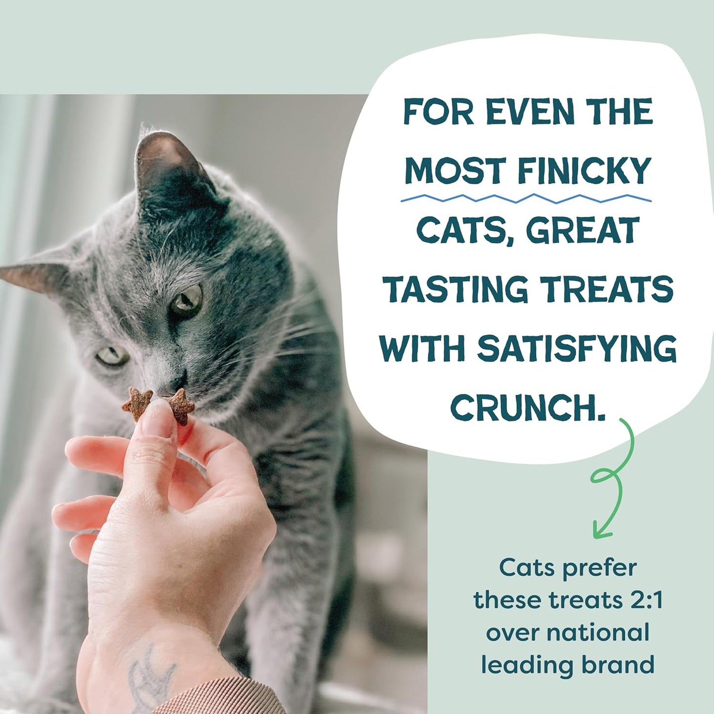 Shameless Pets Digestive Health Catnip Chicken Crunchy Cat Treats