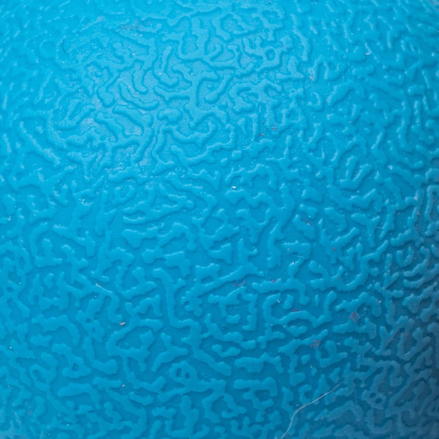 Amazon Basics Dog Toys, Interactive Fetch Rubber Balls, (Pack of 2), 3 inch, Blue, Orange