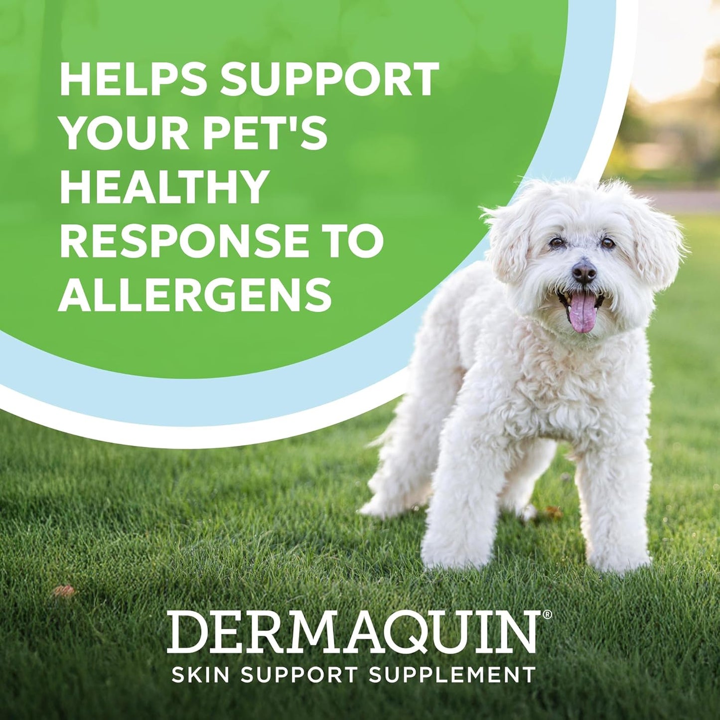 Nutramax Dermaquin Skin Support Supplement for Small to Medium Dogs and Cats, Supports Healthy Response to Allergens, with Hardy Kiwi, Omega-3s, and More, Tasty Soft Chews, 60 Count