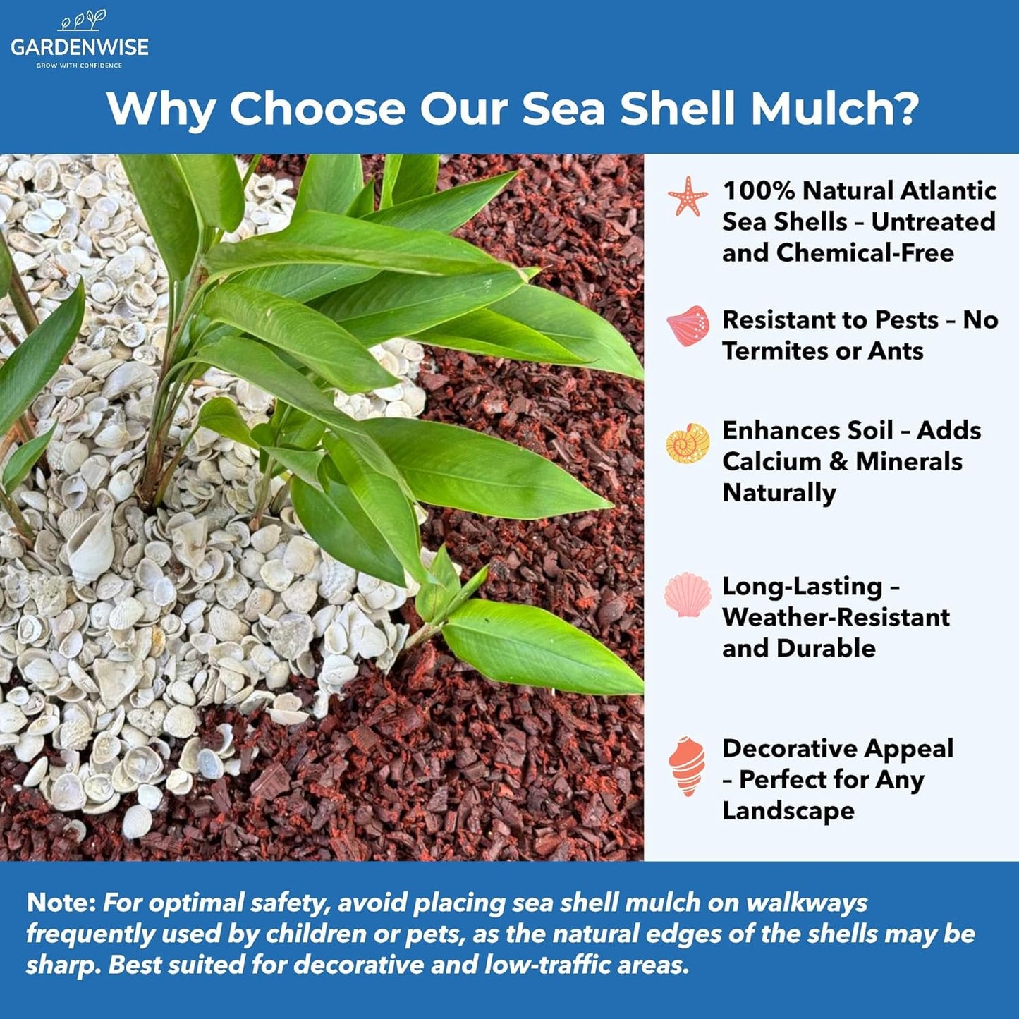 Natural Organic Sea Shell Mulch for Gardens and Landscaping – Decorative and Nutrient-Rich, 0.5–3-Inch Shells, Perfect for Indoor and Outdoor Use (0.3 CF - 8 L - 9 QTS)