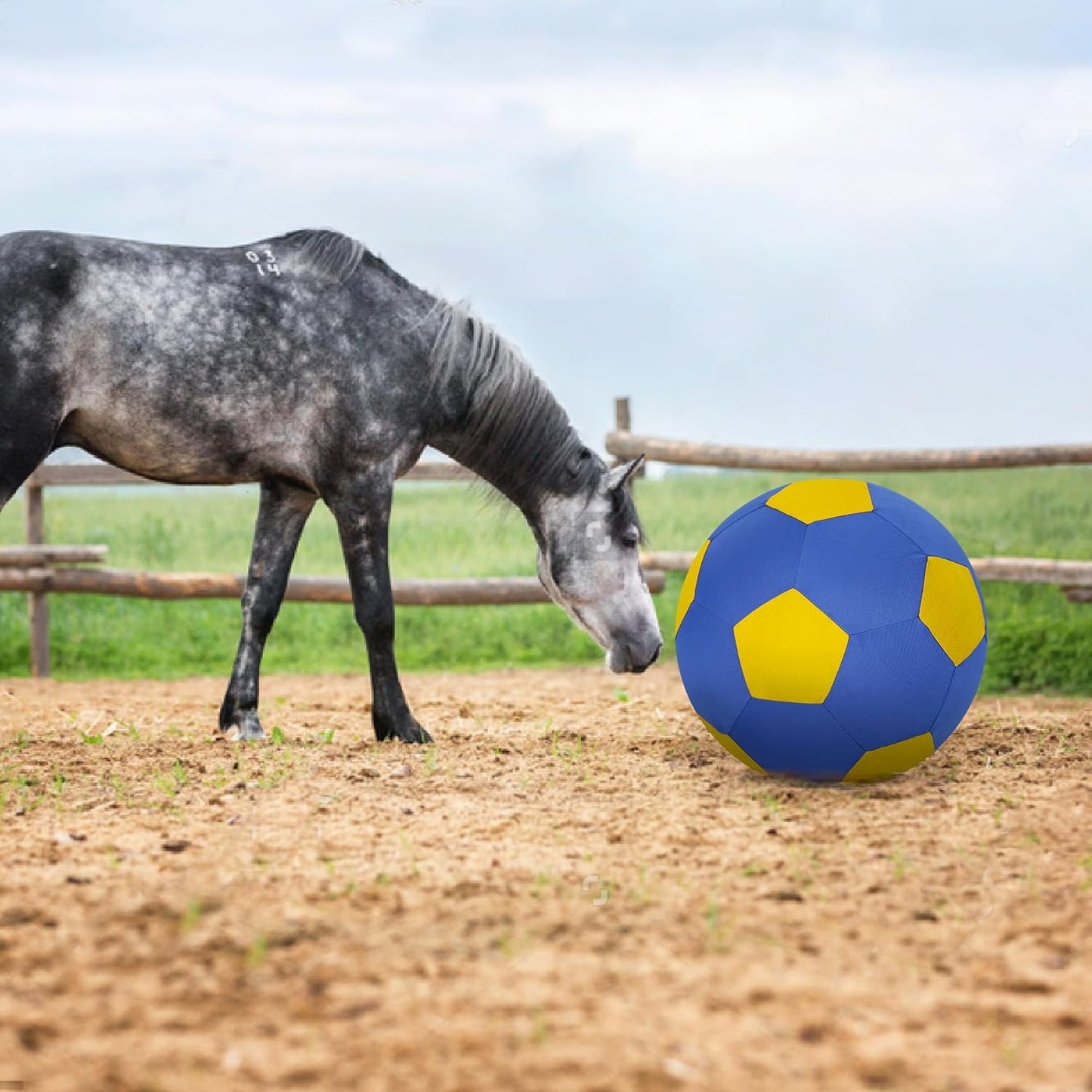 Herding Ball for Dogs Horse Ball & Cover 25" for Horses Large with Hand Pump for Play, Blue and Yellow