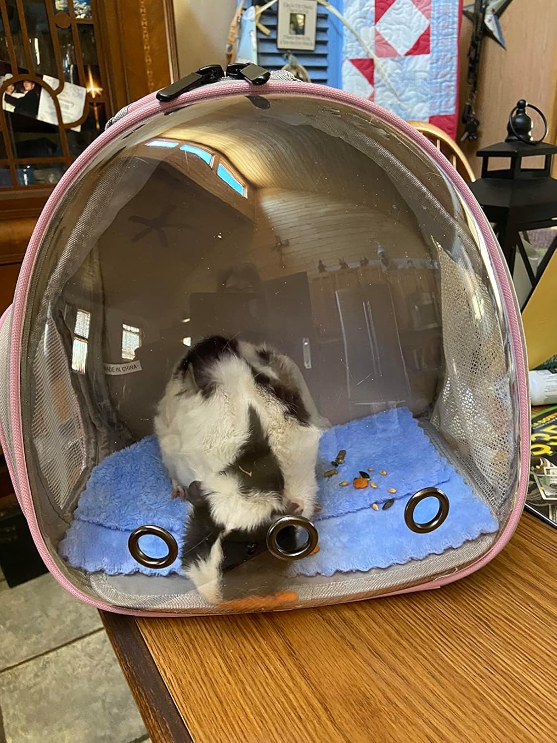 Hamster Backpack Carrier, Bearded Dragon Carrier Backpack with Clear Bubble Window,Small Animal Travel Backpack for Sugar Glider Hedgehog Rat Parrot, Airline Approved (Blue, Backpack)