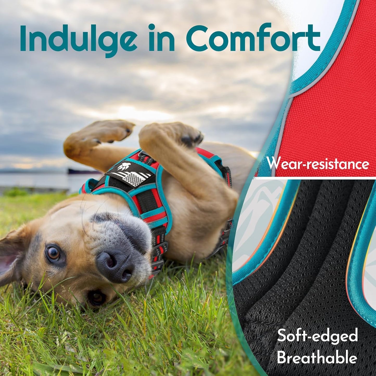 Eagloo Dog Harness Medium Sized, Easy Wearing with 3 Buckles, Adjustable No Pull Pet Harness with 2 Rings for Walking, No Chock Reflective Soft Padded Vest with Control Handle, Red & Teal, M