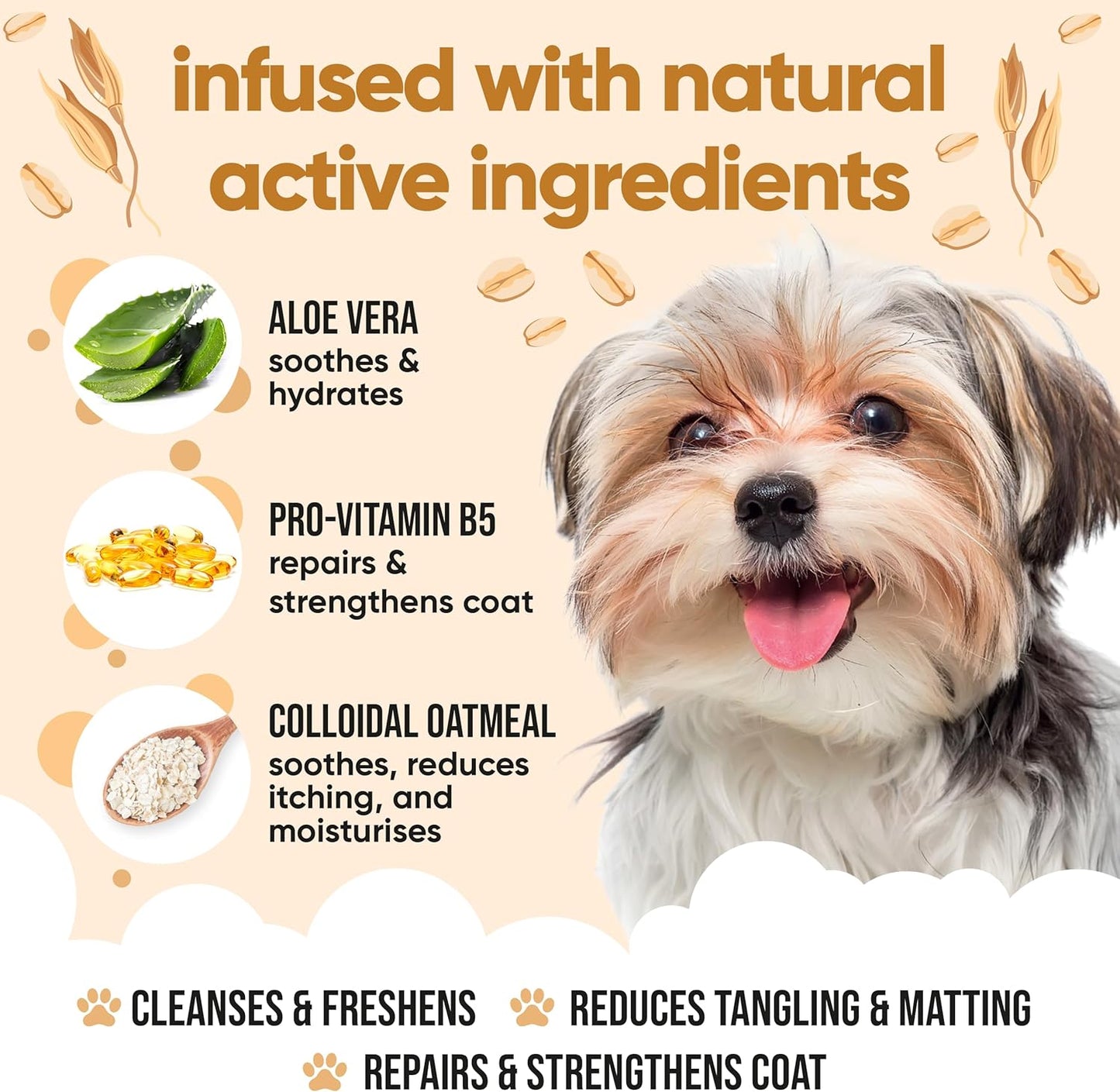 Oatmeal Dog Shampoo by Buddycare | Shampoo for Dogs with Irritated Skin | Relieving and Rehydrating | with Aloe Vera and Pro Vitamin B5 (169.07oz)