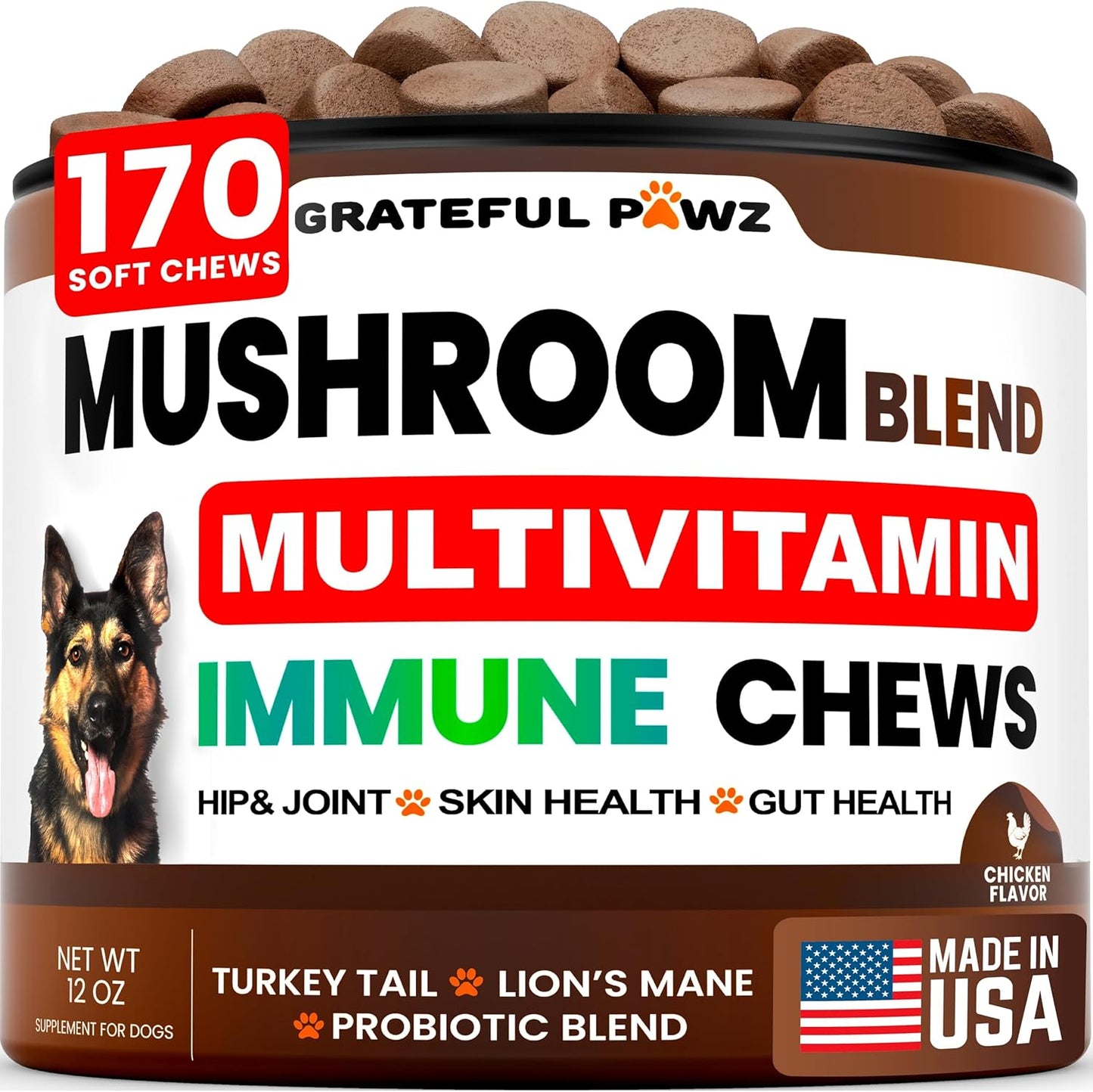Mushroom Supplement for Dogs - 170 Chews - Mushrooms for Dogs - Turkey Tail, Reishi, Lion’s Mane, Glucosamine Multivitamin - Immune Booster, Gut, Hip & Joint Health Support Vitamins, Energy & Skin