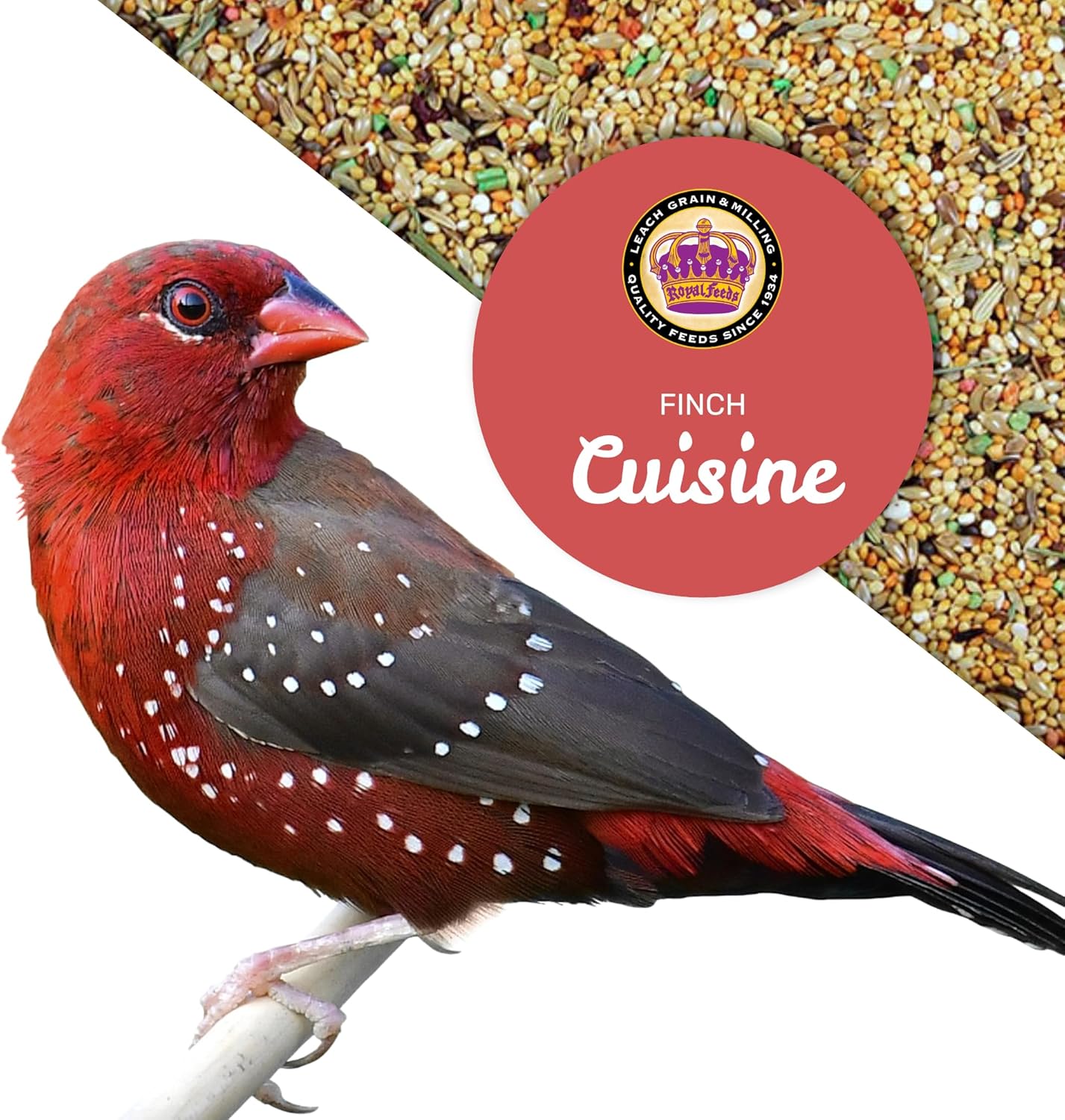 LEACH GRAIN & MILLING CO. Finch Cuisine 4 Lbs, Finch Food, Nutrient-Rich Blend Bird Seed, Birdseed for Finches and Small Birds, Support Daily Energy, Growth & Healthy Balanced Diet, No Mess Bird Seed