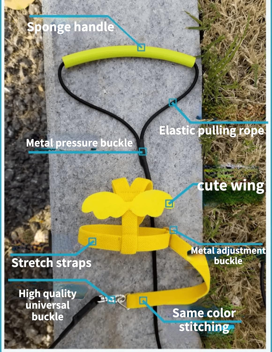 Pet Parrot Bird Harness Leash Adjustable Bird Flying Harness Traction Rope with Cute Wing for Parrots Pigeons Budgerigar Lovebird Cockatiel Mynah Outdoor Training Toy (M, Purple)