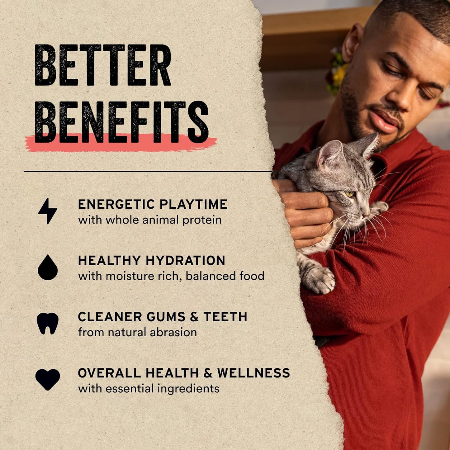 Vital Essentials Freeze Dried Raw Single Ingredient Cat Treats, Chicken Hearts, 0.8 OZ (Pack of 3)