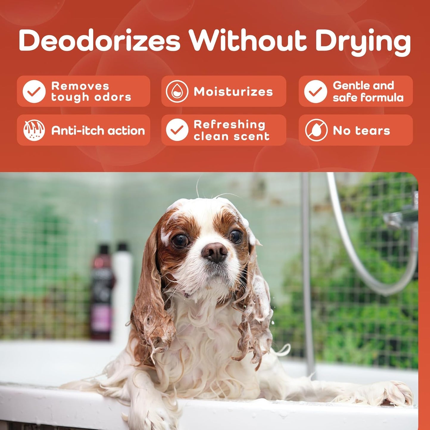 Sensitive Care -Tangle-Free-Silky Shine Softening and detangling Shampoo, Delicate Coat Clean & Odor Control Shampoo – Advanced Shine Formula for Dogs (Cavalier King Charles Spaniel, 16 Fluid Ounces)