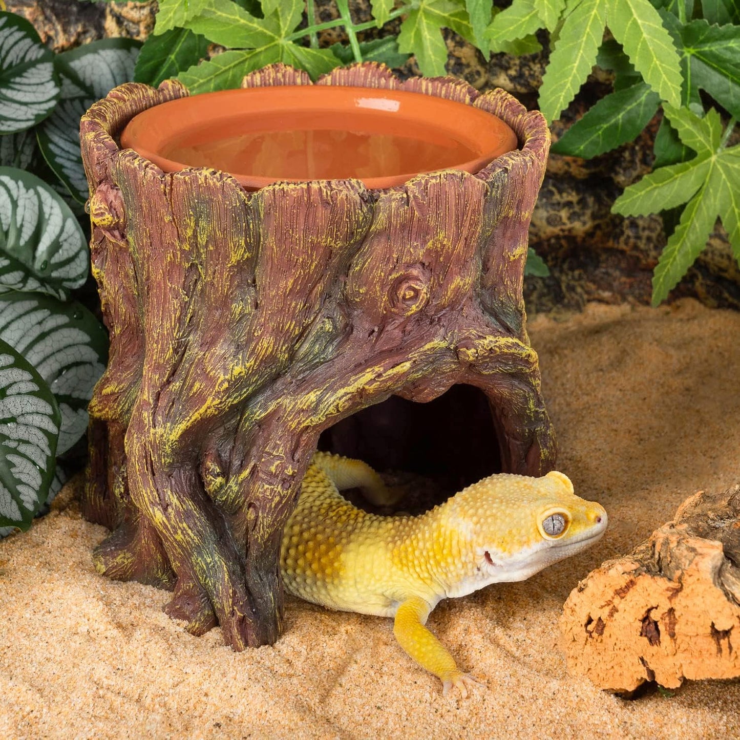 REPTIZOO Reptile Hide Cave Resin Moisture Keeping Reptile Cave with Clay Water Basin Humidifying Help Shedding for Leopard Gecko