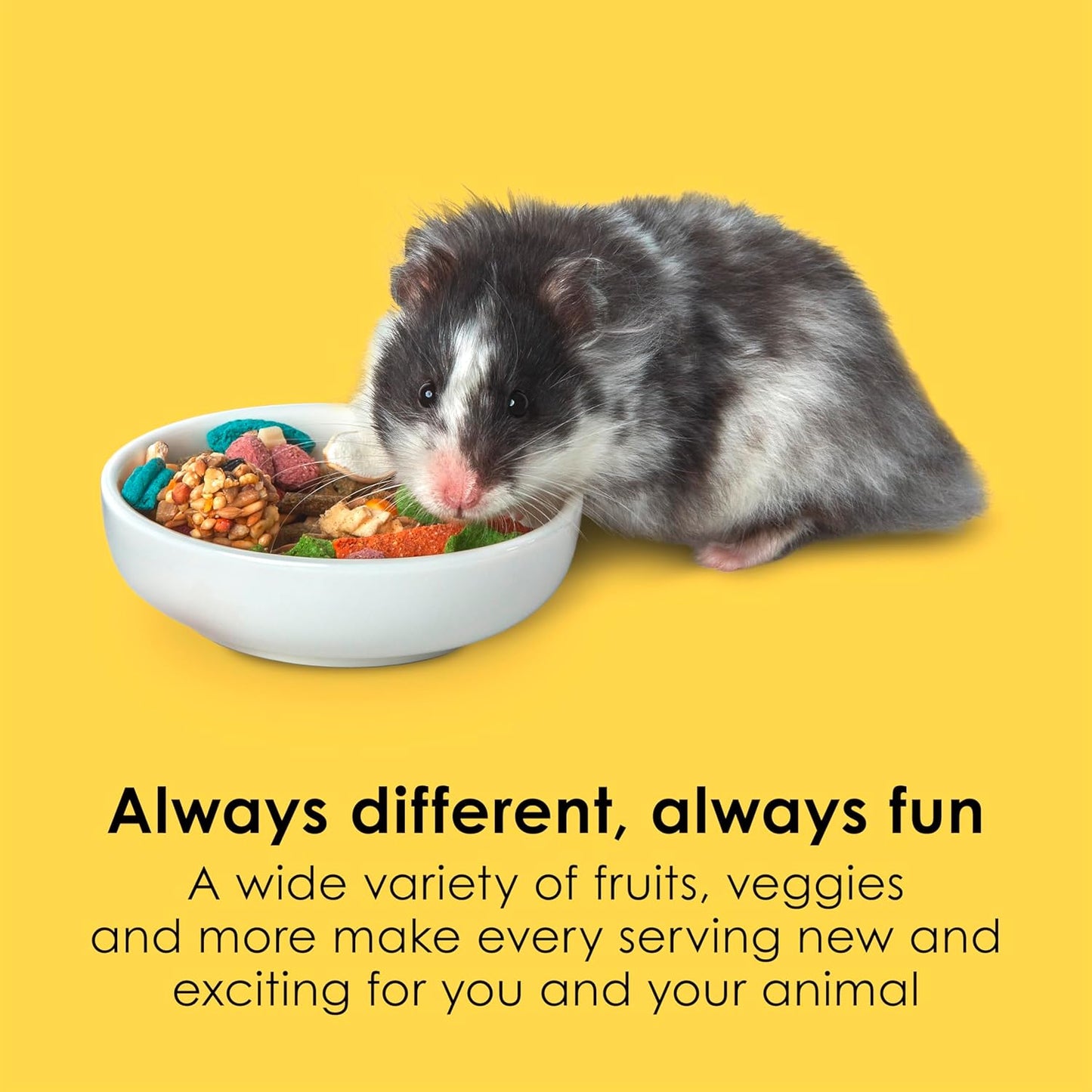 Kaytee Fiesta Hamster & Gerbil Food, Nutritious and Fun Blend, Supports Dental Health and Digestion, 4.5 pounds