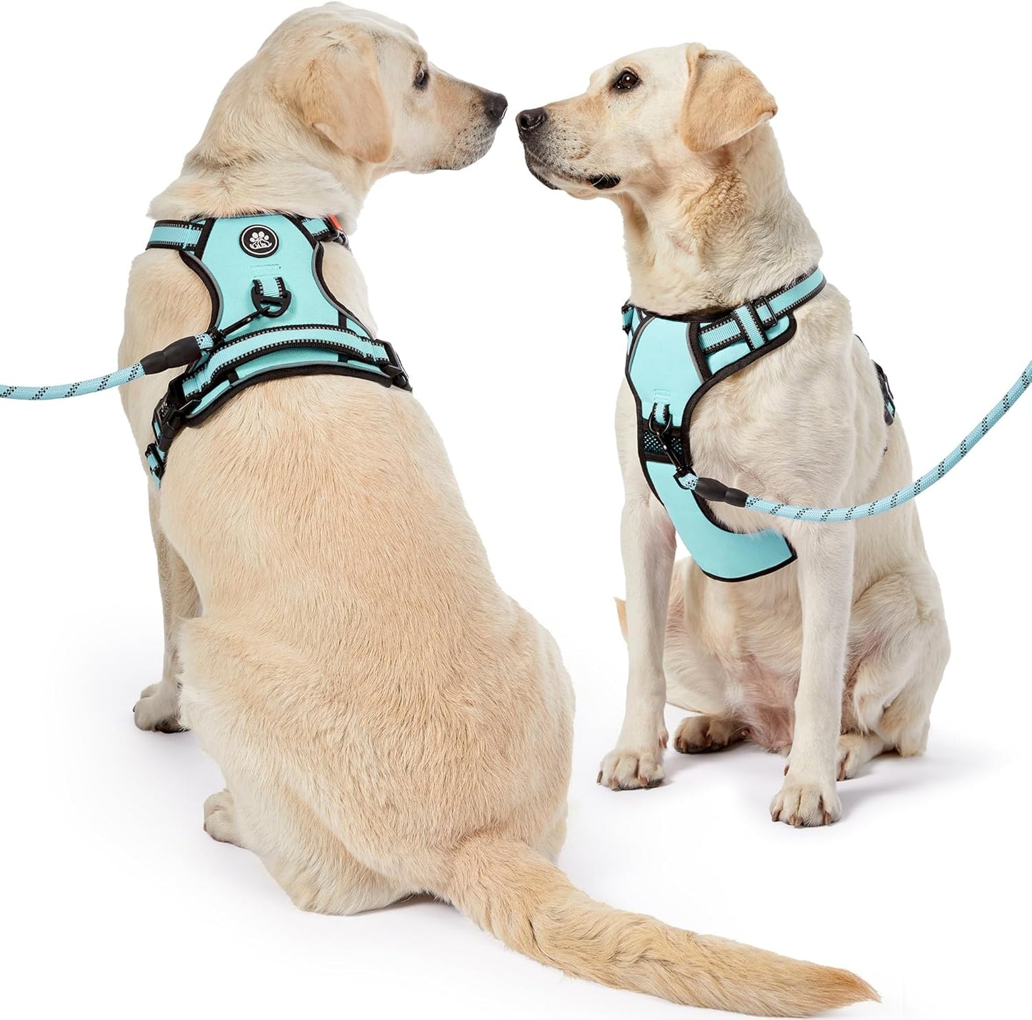 NESTROAD No Pull Dog Harness,Adjustable Oxford Dog Vest Harness with Leash,Reflective No-Choke Pet Harness with Easy Control Soft Handle for Small Dogs(Small,Turquoise)