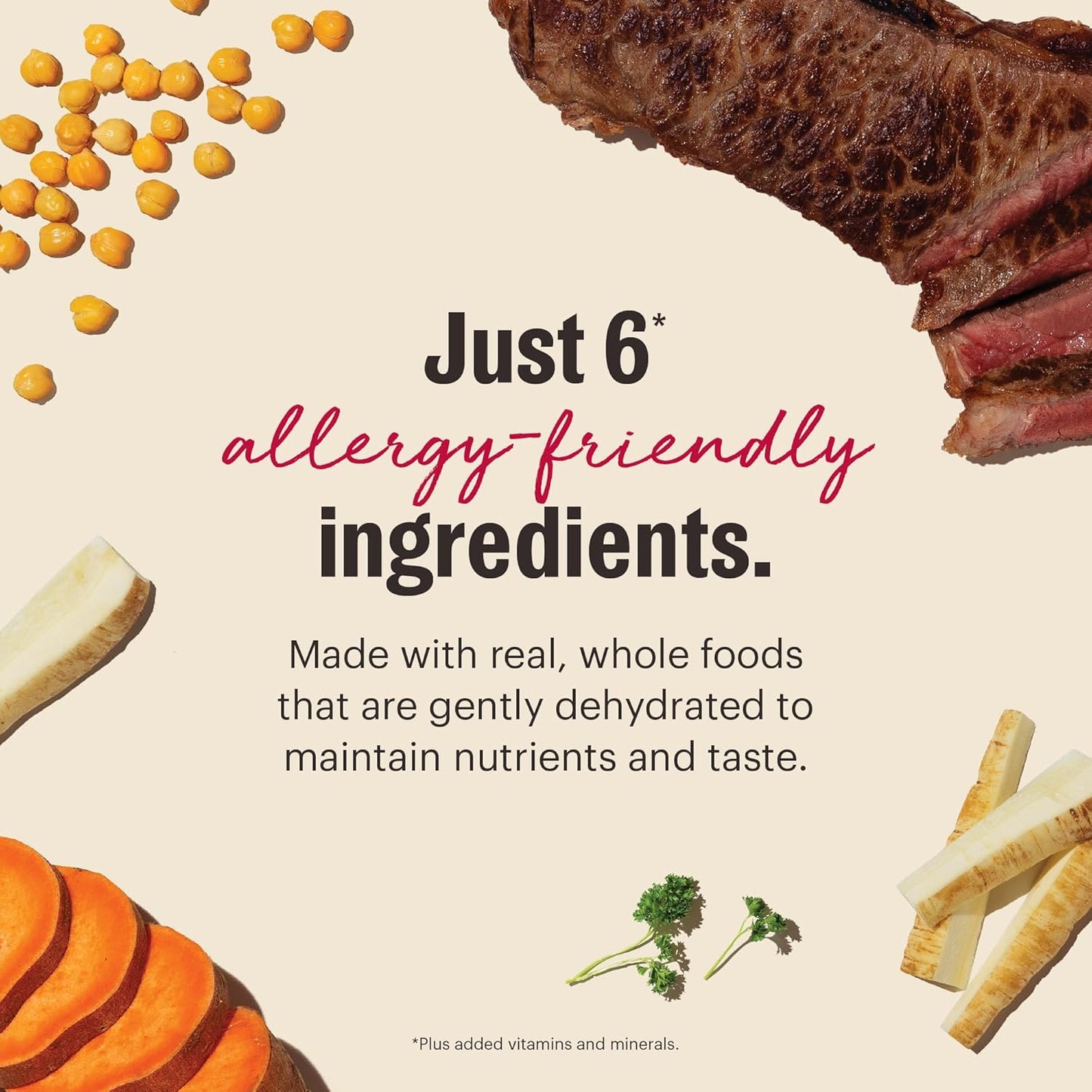 The Honest Kitchen Wholemade™ Limited Ingredient Beef Dog Food, 10 lb Box