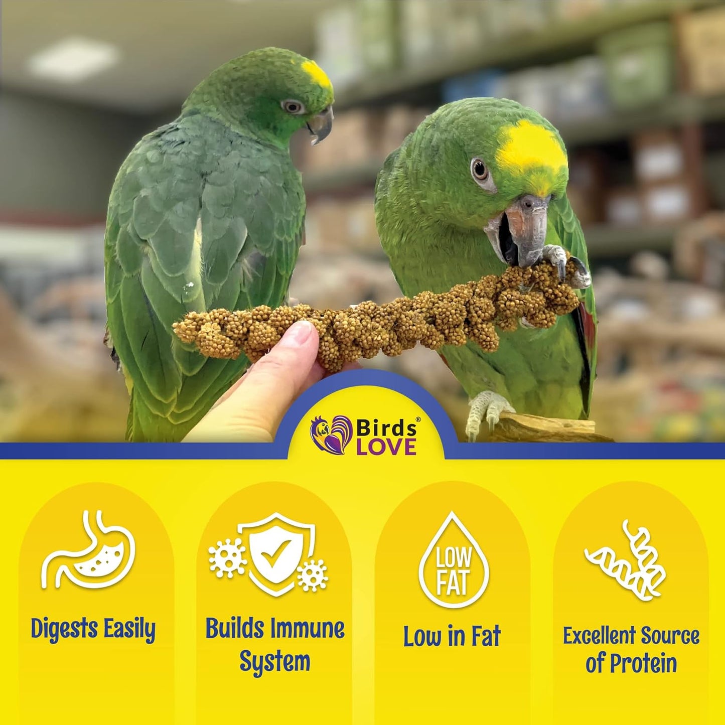 Birds LOVE Economy & Thin Special Spray Millet GMO-Free (No Stems Only Edible Tops) for Birds Cockatiel Lovebird Parakeet Finch Canary All Parrots Healthy Treat - 25lbs