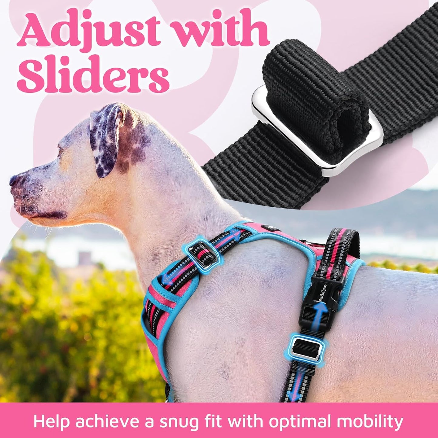 rabbitgoo Dog Harness for Large Dogs, No Pull Pet Vest with 3 Buckles, Adjustable Soft Padded Pet Harness with Easy Control Handle and Reflective Strips, Rose Pink & Blue, XL