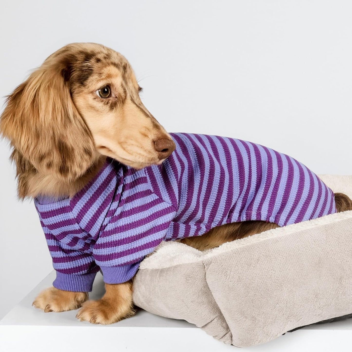 Fitwarm Purple and Violet Striped Dog Pajamas, Waffle Dog Clothes for Small Dogs Girl Boy, Puppy Onesie with Feet, Pet Cat Outfit, XS