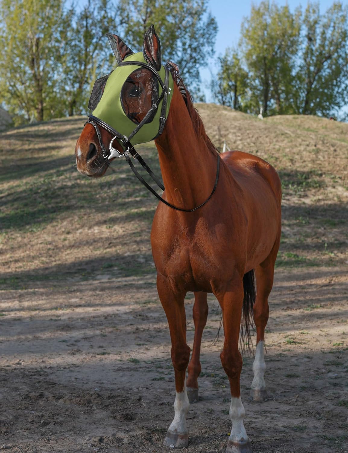 Horse Fly Mask with Ears, UV Protection for Horses, Elasticity with Big Mesh Eye Covers, Snug Fitting Comfortable Breathable Lightweight for Horses Olive Green Cob