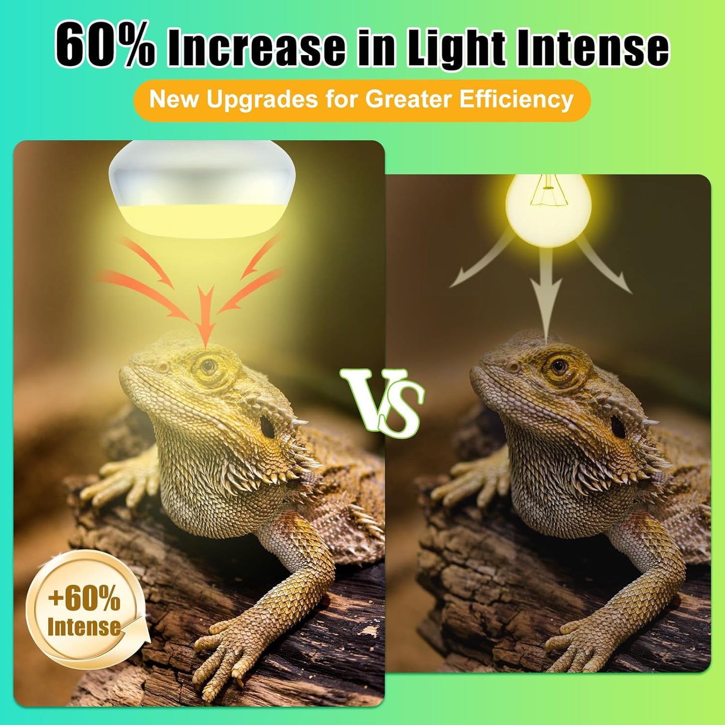 Reptile Heat Lamp 2Pack 75W, Intense Basking Spot Light Bulb with UVA, Simulate Natural Daylight Heat Bulb for Reptile, Turtle, Bearded Dragon, Lizard, Tortoise, Gecko, Snake
