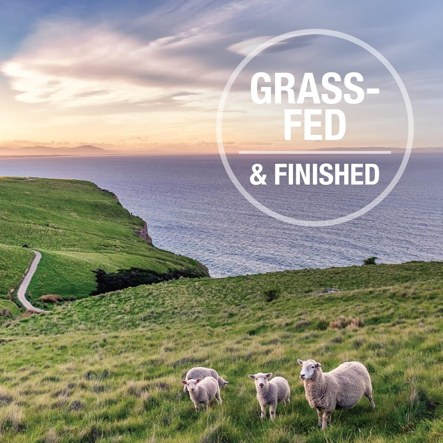 K9 Natural, Freeze-Dried Single Ingredient Dog Treats, High-Value, Low-Calorie Protein Bites for Active Dogs, Healthy Dog Training Treats, Grain-Free Reward, Lamb & Organs, 1.76oz (Pack of 2)