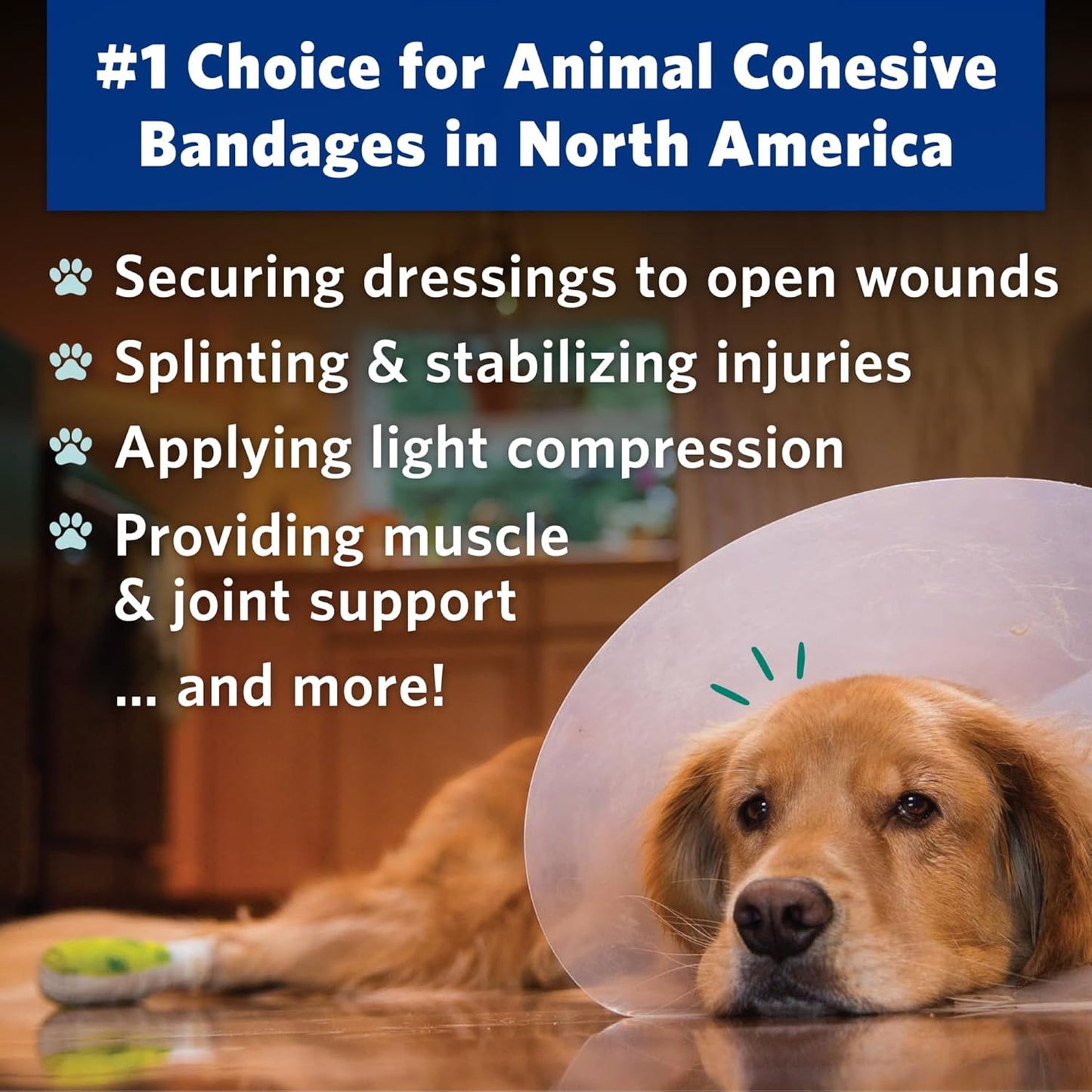 PetFlex No Chew – Flexible Self-Adhering Elastic Bandage for Wound Care – First Aid Wrap for Small Animals Like Dogs, Cats, and Other Pets - 2 inch, 2 Rolls