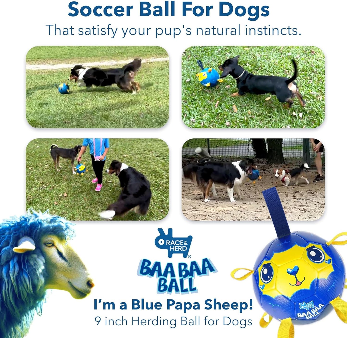 Race&Herd 9" Jolly Soccer Ball for Dogs - Tough Durable Dog Ball Toy with Straps, Pet Bouncy Herding Balls for Dogs, Floating Dog Balls with Tags for Water Fetch (BaaBaaBall, Daddy Sheep)