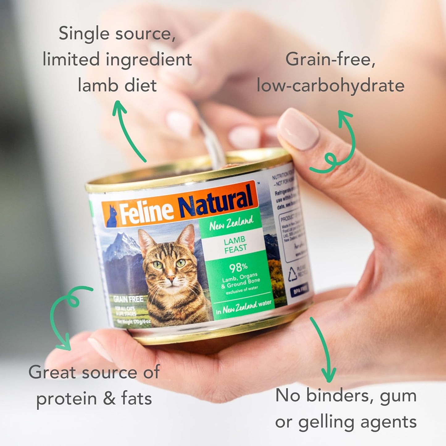 Feline Natural New Zealand Canned Catfood Wet Food, High-Meat, Low-Carb, & Grain Free Cat Food Wet, Lamb Feast, 6 oz, Pack of 12